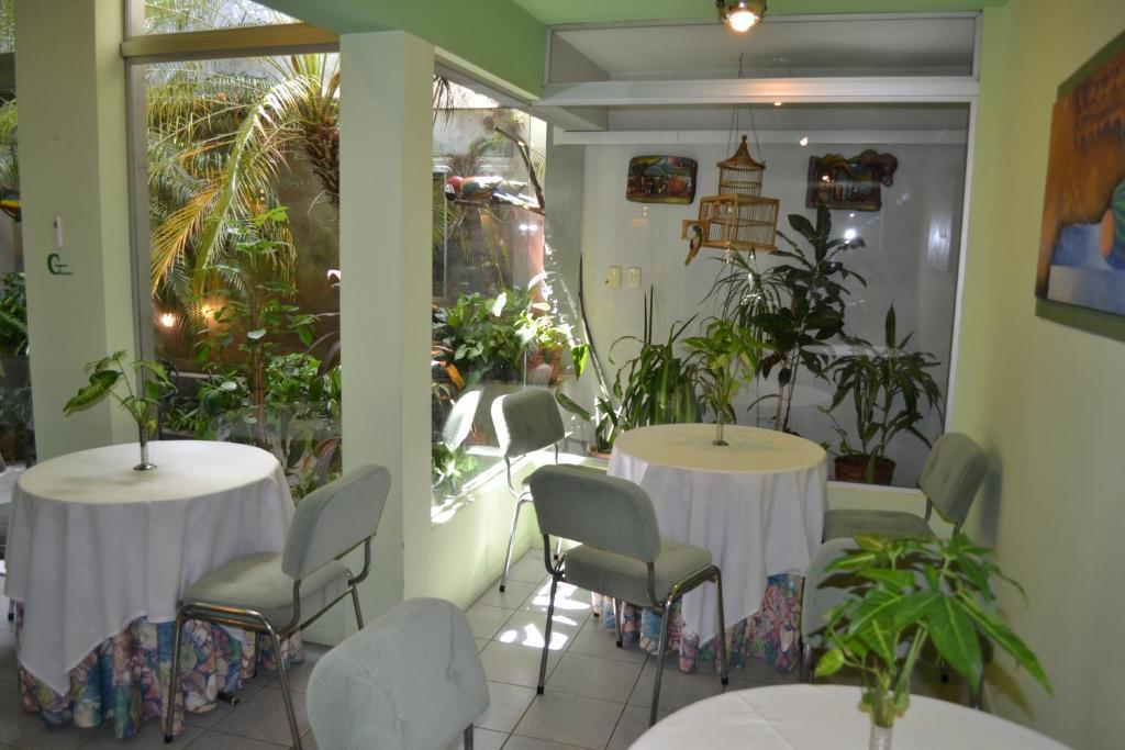 Hotel Amalfi 아순시온 외부 사진